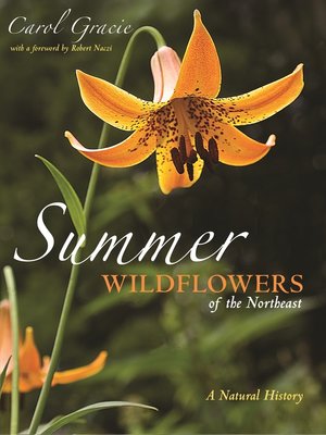 cover image of Summer Wildflowers of the Northeast
